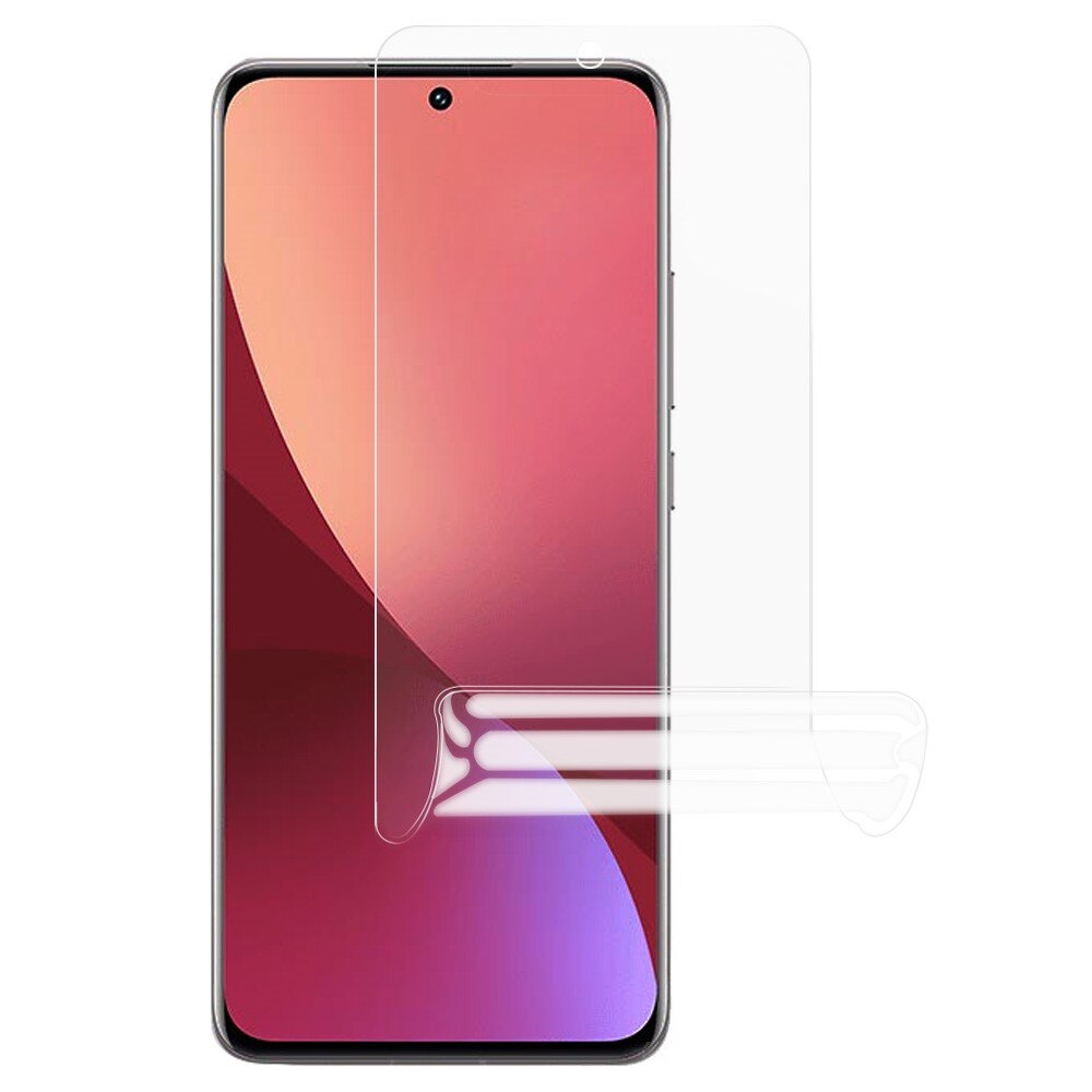 Xiaomi 12 Pro Displayschutz