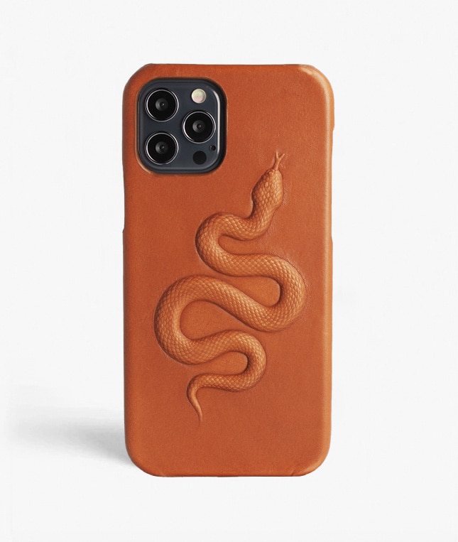 iPhone 12/iPhone 12 Pro Hülle Snake Braun