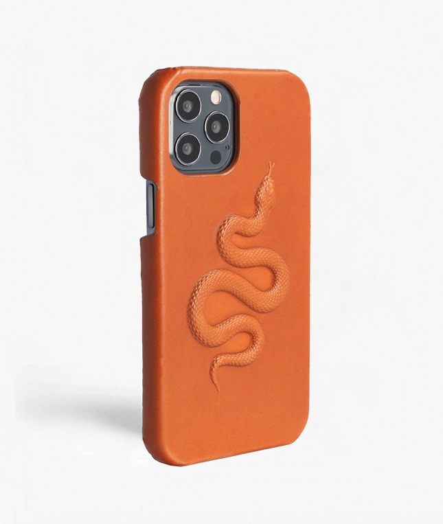 iPhone 12/iPhone 12 Pro Hülle Snake Braun