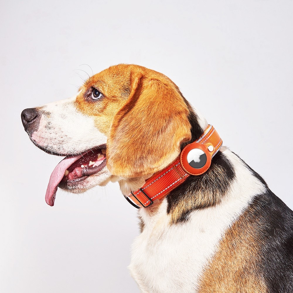 Apple AirTag Hundehalsband mit Reflektor S, schwarz