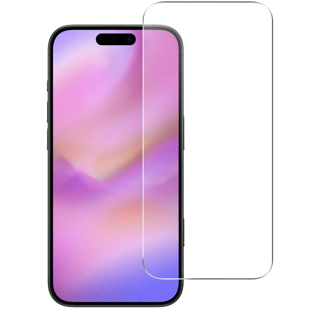 iPhone 17 Pro Max Panzerglas Displayschutz und Kameraschutz (2-in-1)