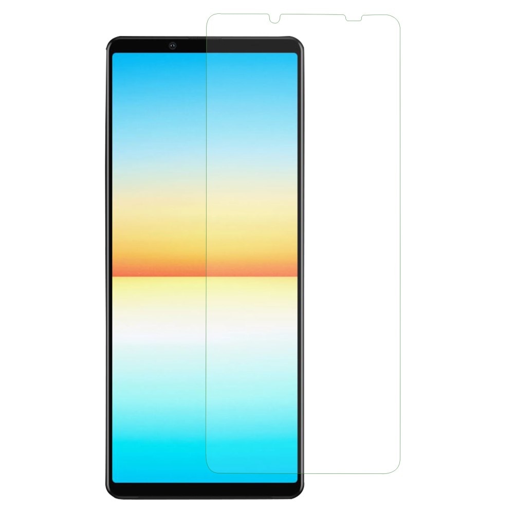 Sony Xperia 10 V Displayschutz Panzerglas 0.3mm