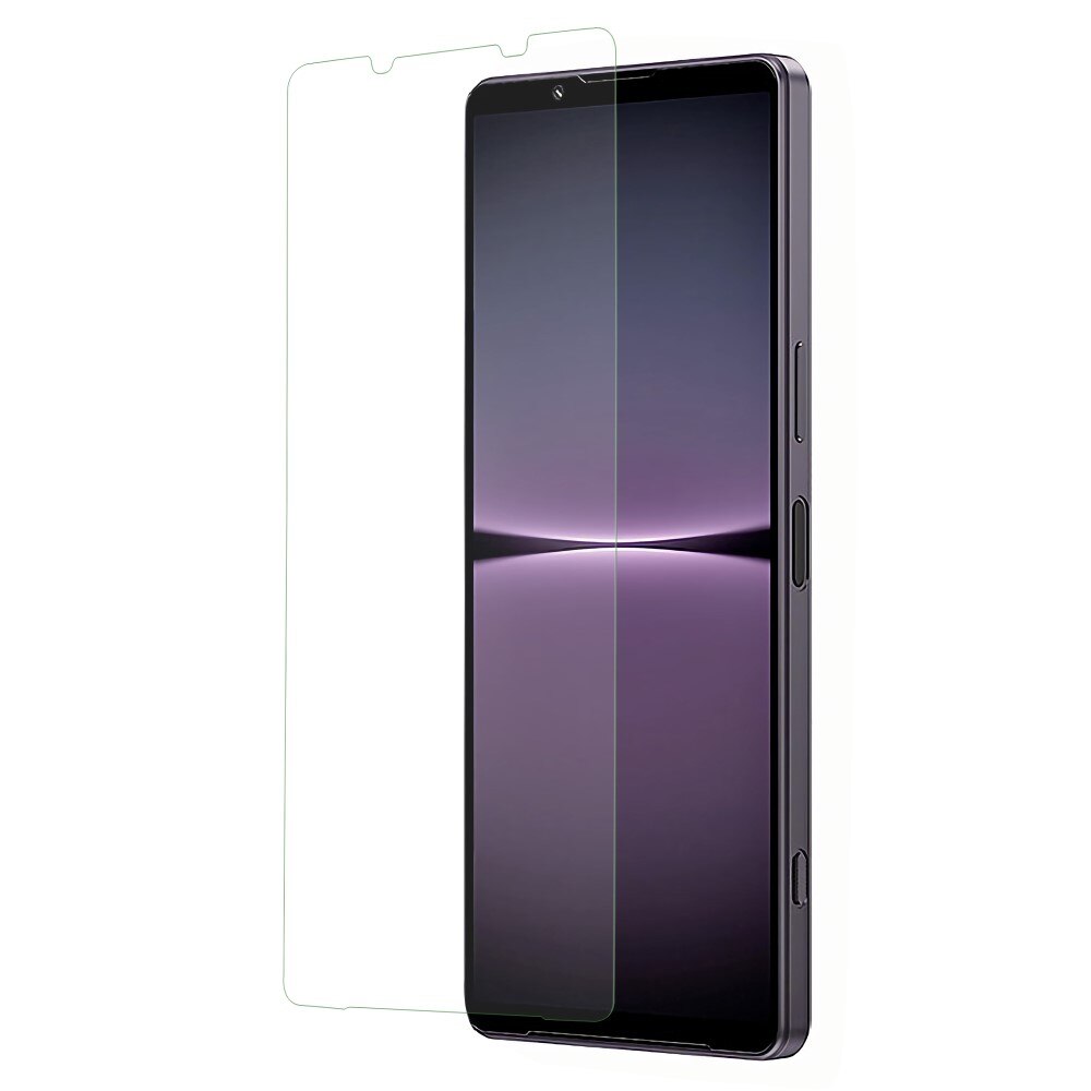 Sony Xperia 1 V Displayschutz Panzerglas 0.3mm