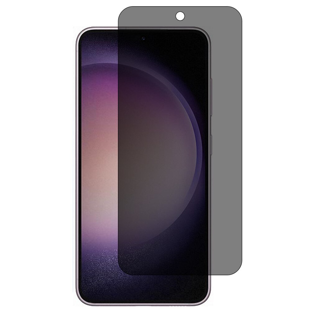 Samsung Galaxy S24 Plus Panzerglas Blickschutz