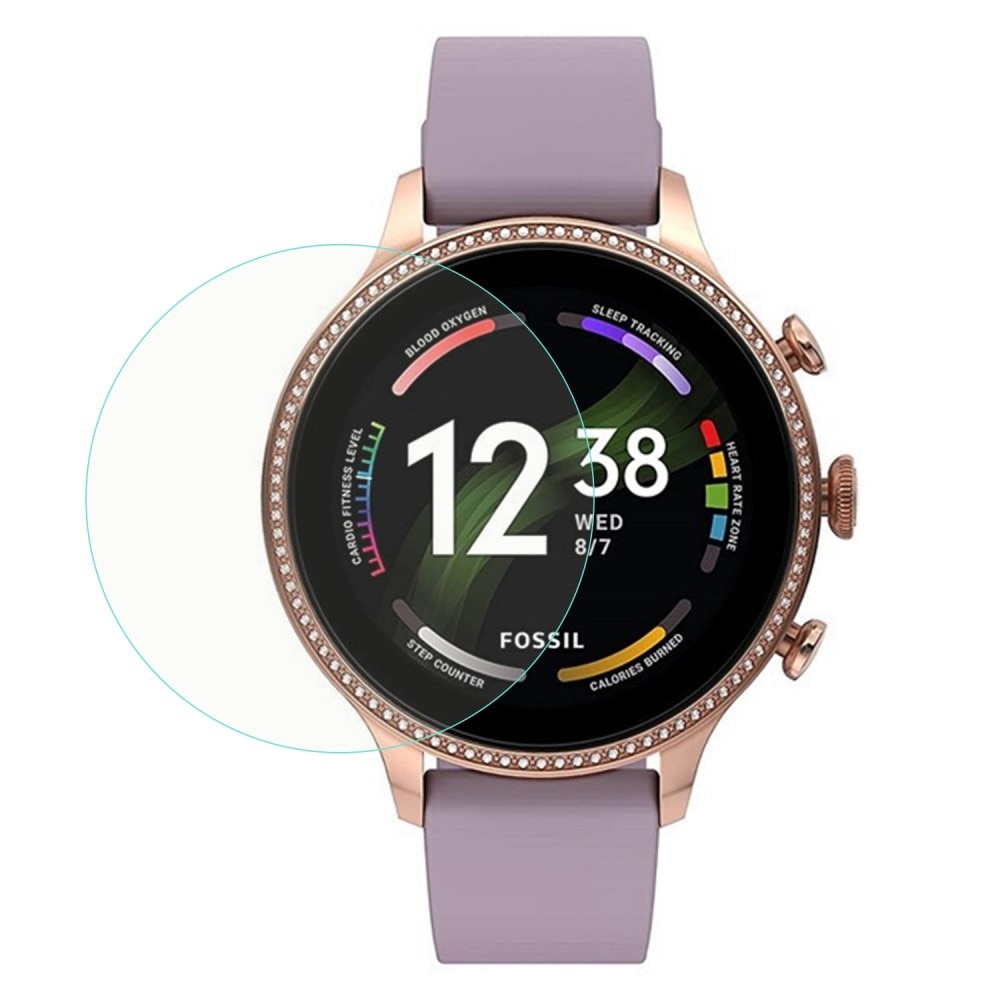 Skagen Falster Gen 6 Displayschutz