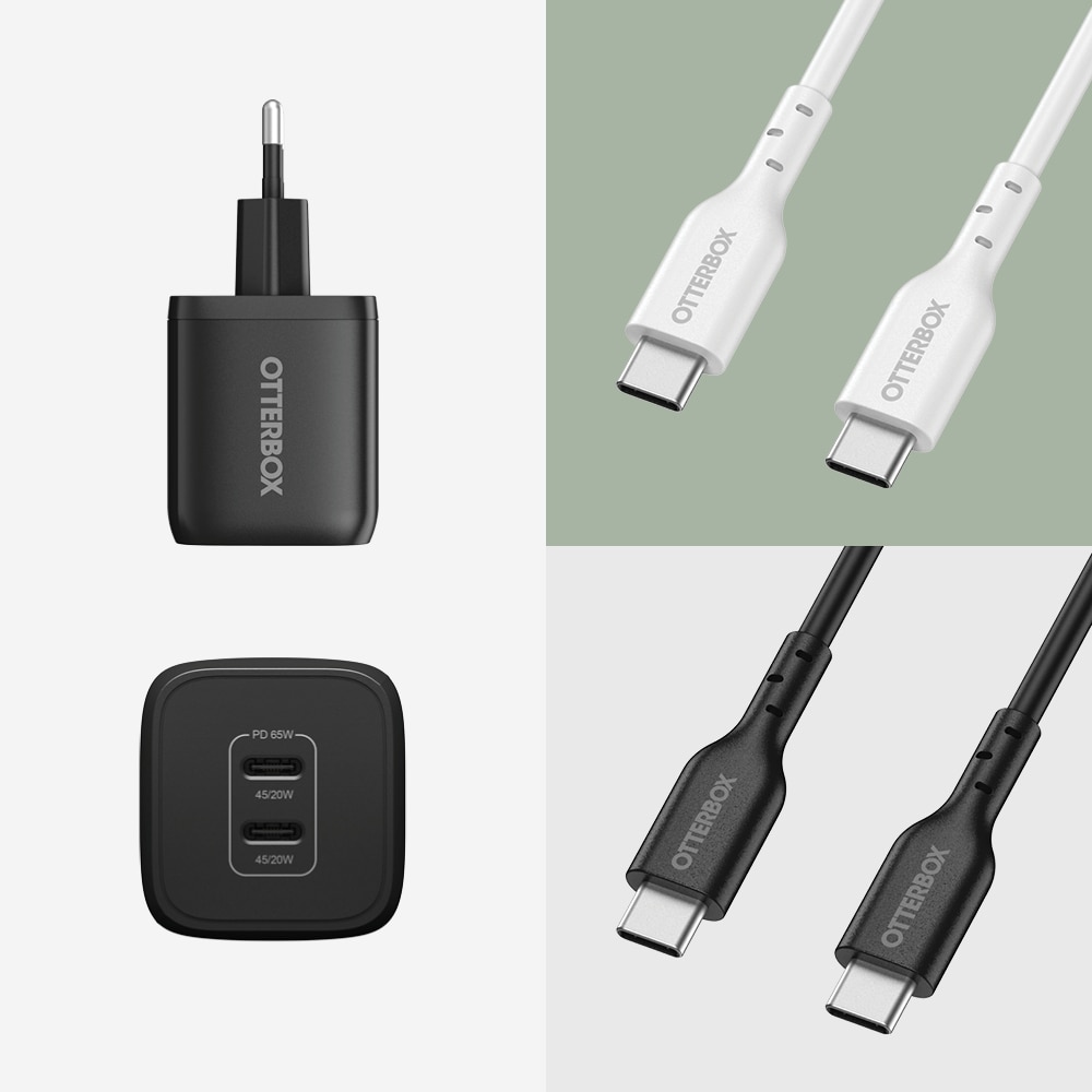 Wandgeräte USB-C Dual Port 65W Black