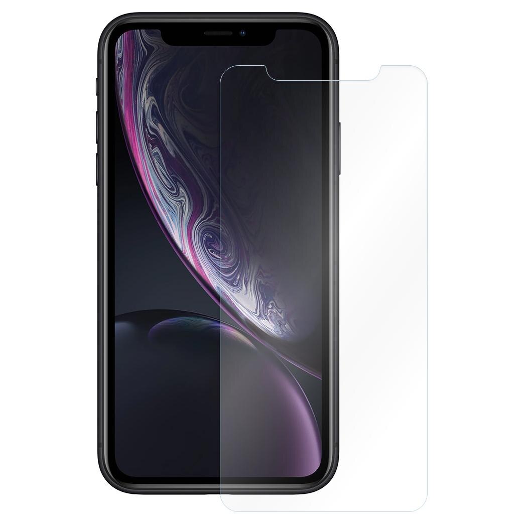 iPhone XR Displayschutz